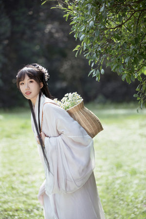 白百合的电视剧